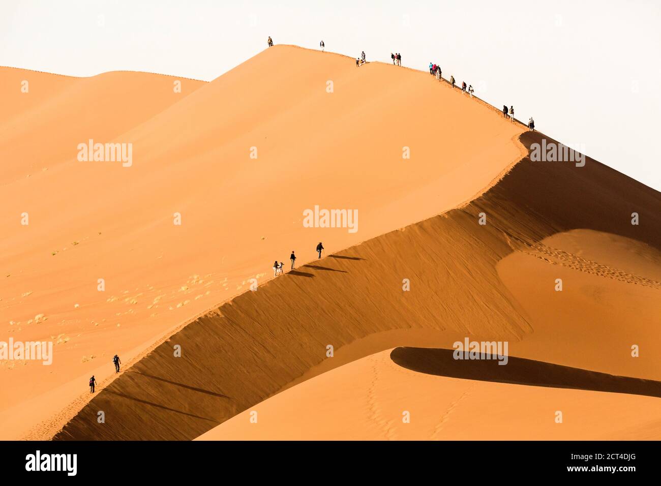 Touristen erklimmen die größte Sanddüne in Sossusvlei, Sesrium, Namibia. Stockfoto