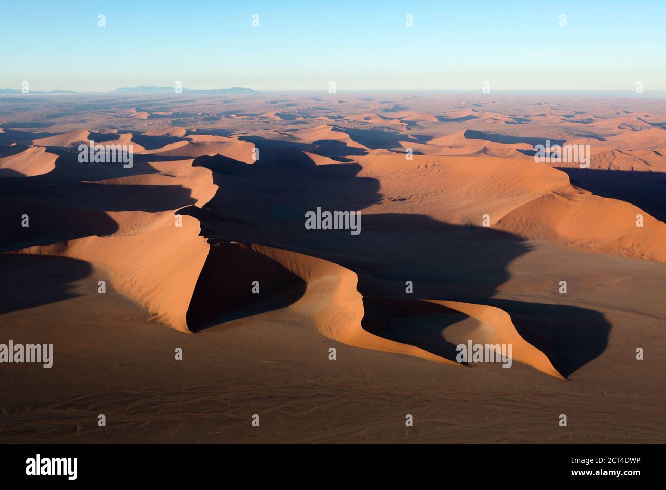 Rote Sanddünen im Morgenlicht in Sossusvlei, Namibia. Stockfoto