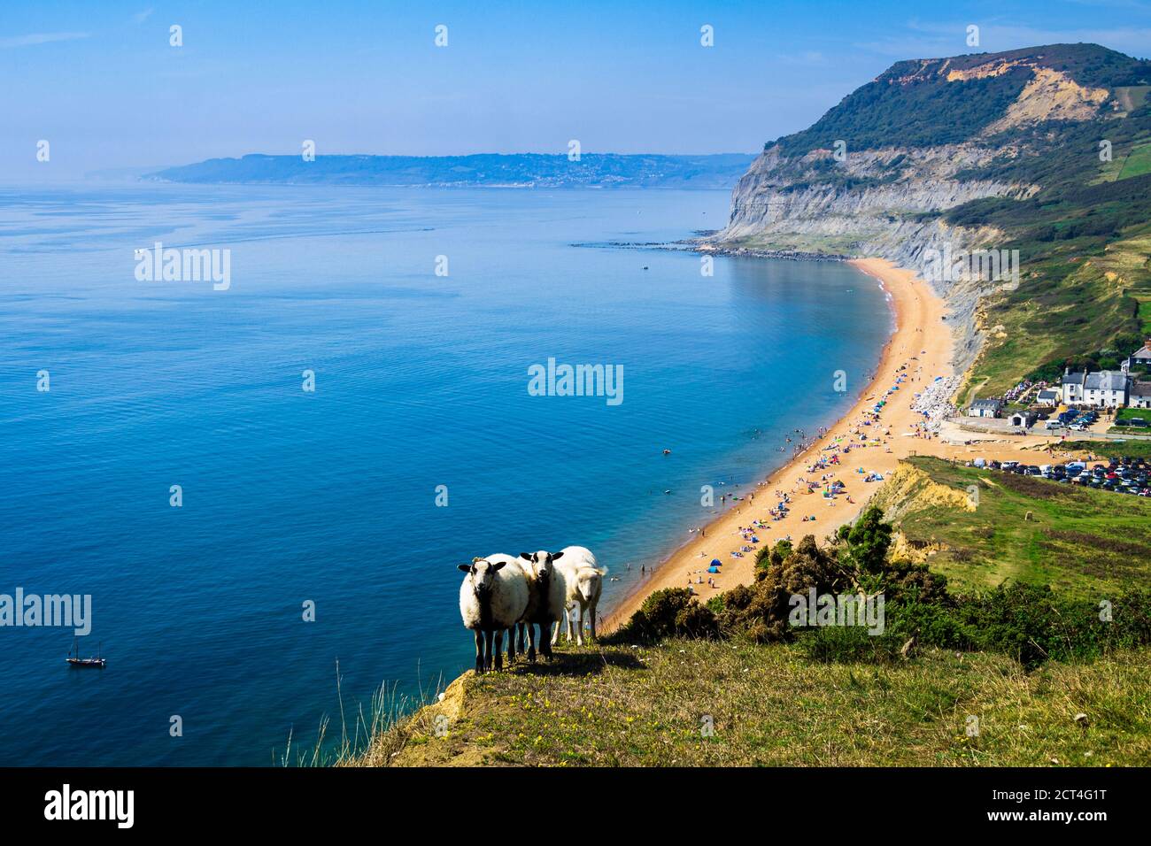 August Feiertag Wochenende Sonnenbaden am Strand bei Seatown im Südwesten von Dorset England mit dem Golden Cap Im Hintergrund Stockfoto
