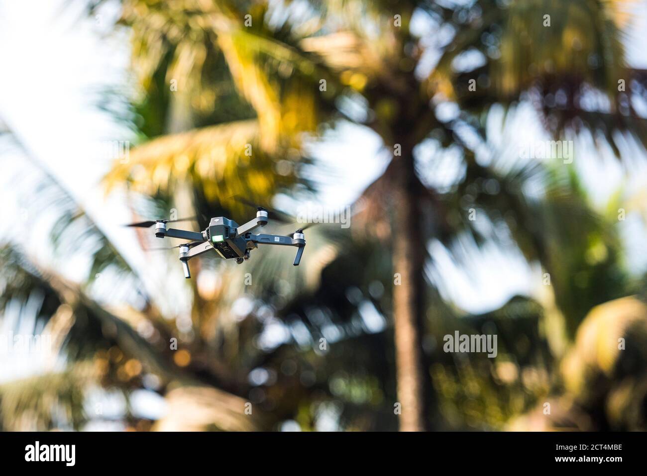 Fliegen einer Flugdrohne für Fotografie und Videografie auf einem Tropische Strandszene mit Palmen Stockfoto