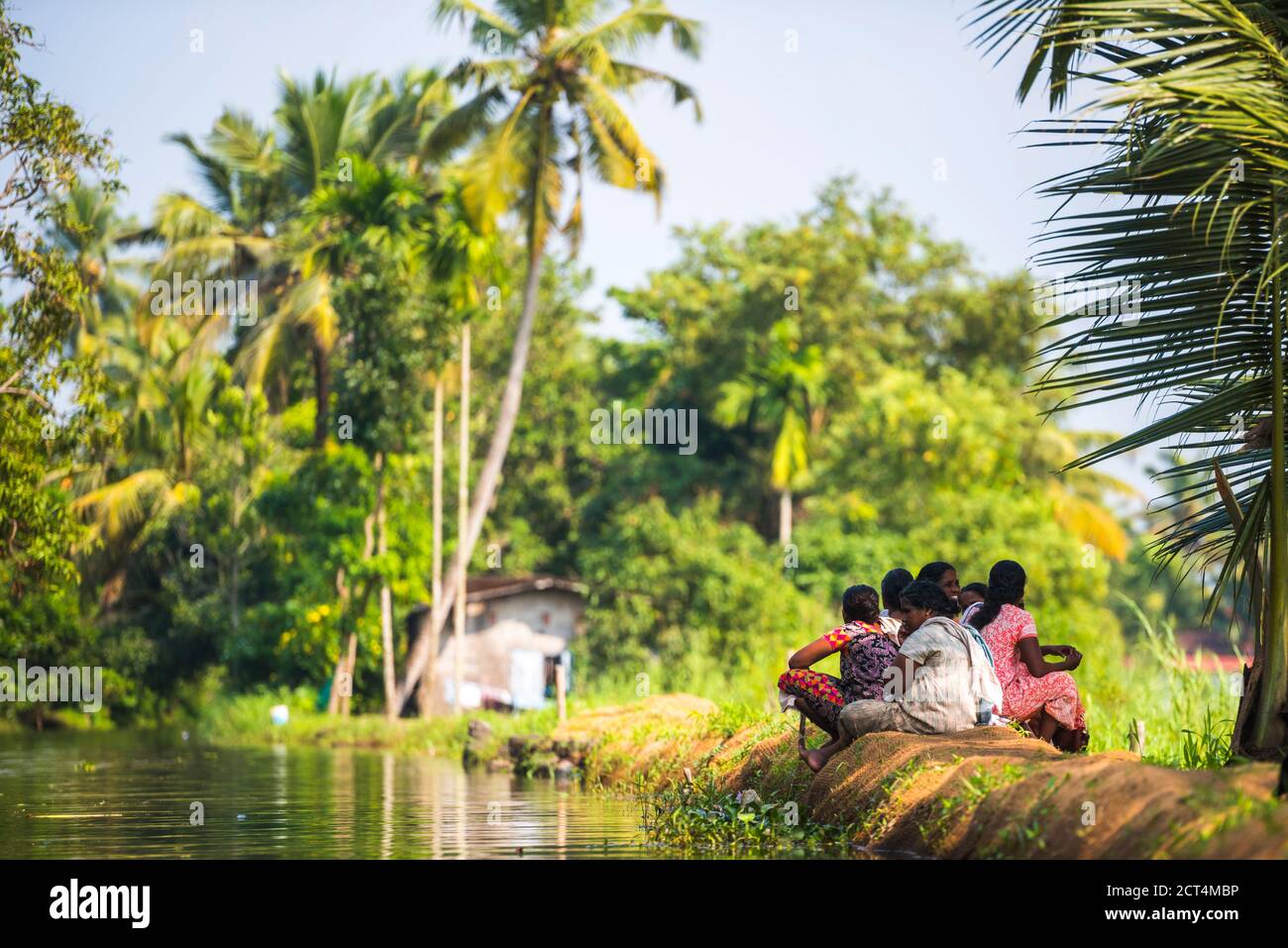 Backwaters in der Nähe von Alleppey, Alappuzha, Kerala, Indien Stockfoto