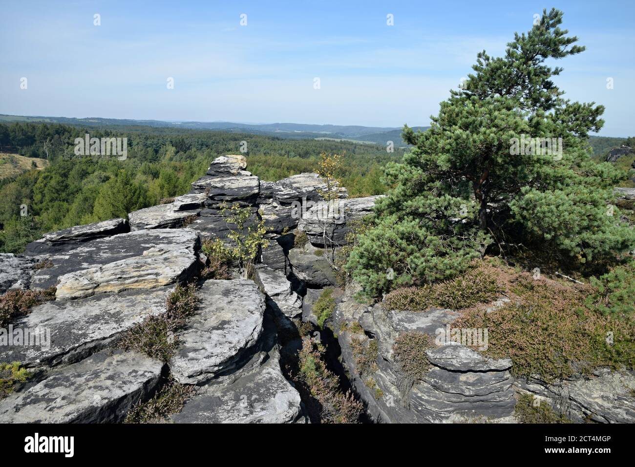 Die Tisa Felsen oder Tisa Wände sind eine bekannte Gruppe von Felsen in der Westböhmischen Schweiz. Es ist die Region mit bis zu 30 m hohen Felssäulen. Stockfoto