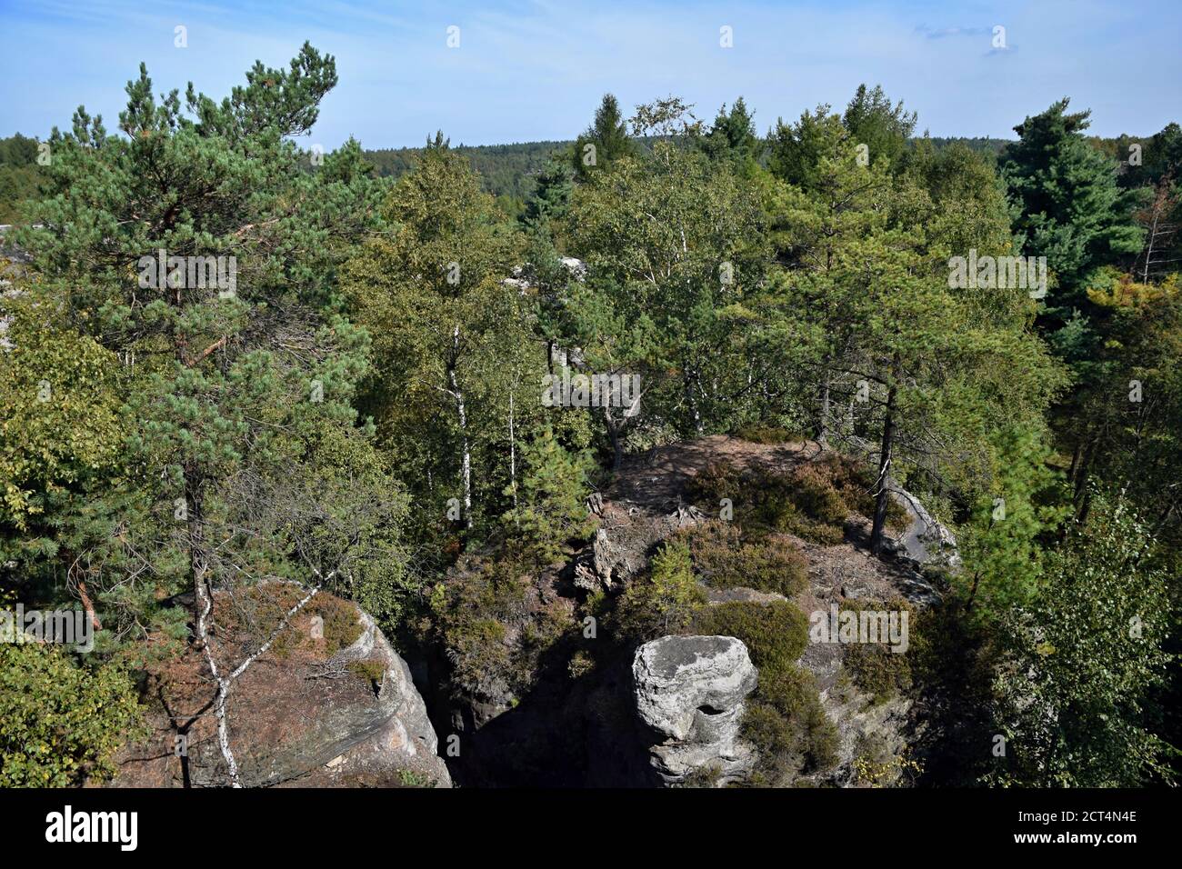 Die Tisa Felsen oder Tisa Wände sind eine bekannte Gruppe von Felsen in der Westböhmischen Schweiz. Es ist die Region mit bis zu 30 m hohen Felssäulen. Stockfoto