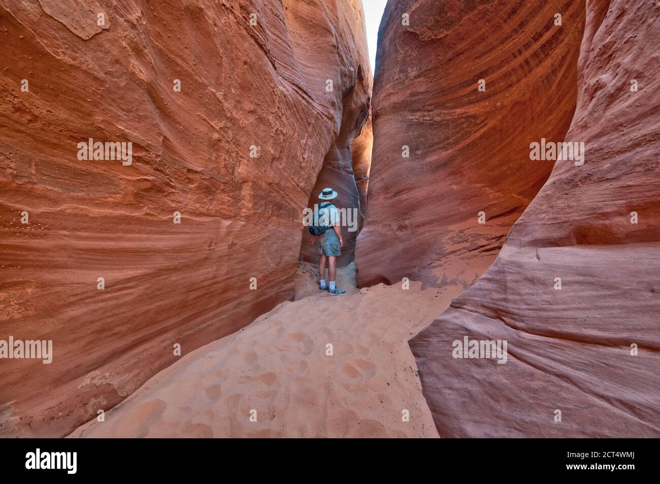 Wanderer im Spooky Gulch, einem Slot Canyon, Early Weed Bench Area, BLM Land, ehemals Teil des Grand Staircase Escalante National Monument, Utah, USA Stockfoto