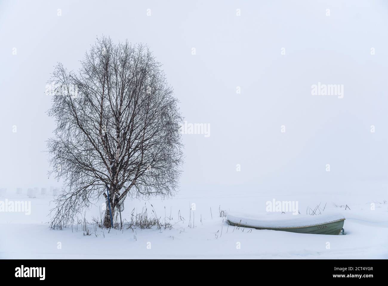 Düstere, neblige, minimalistisch weiße Winterlandschaft mit Schnee in der Nähe von Akaslompolo, Finnisch-Lappland, Finnland Stockfoto