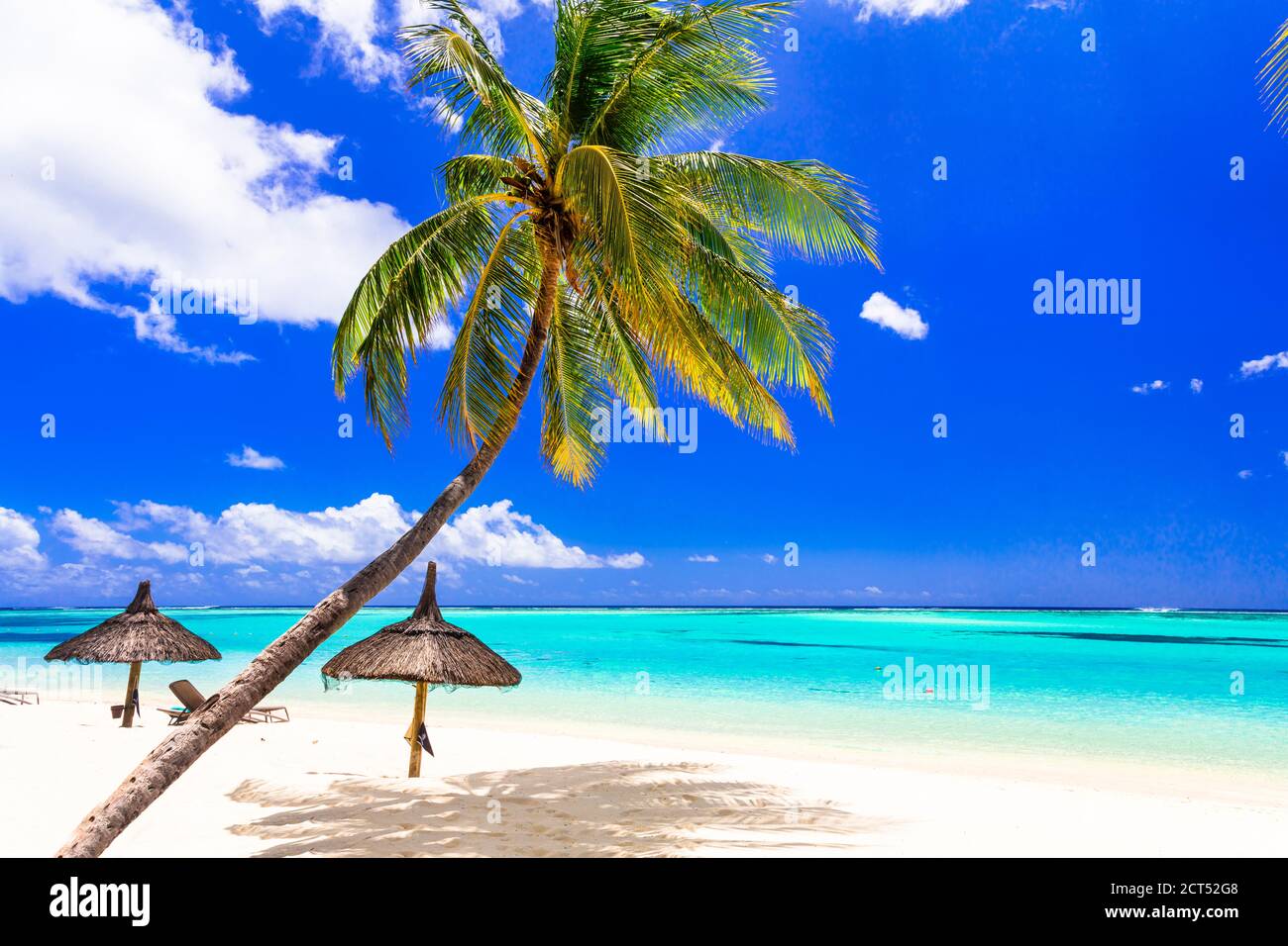 Perfekte tropische Strandlandschaft. Palmen über türkisfarbenem Meer und weißem Sand Stockfoto