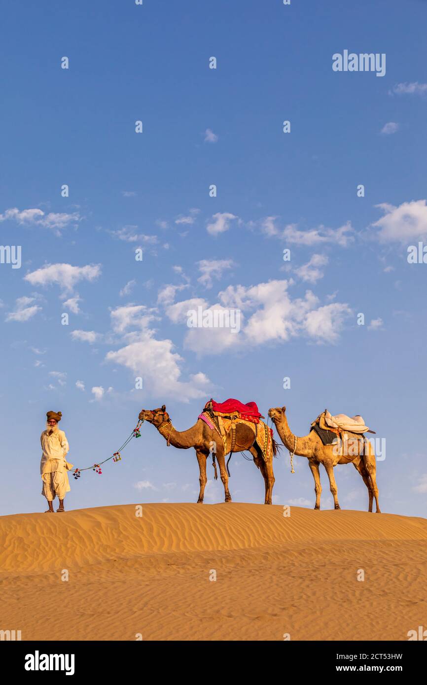 Ein alter Mann mit seinem Kamele, Wüste Thar, Rajasthan, Indien Stockfoto