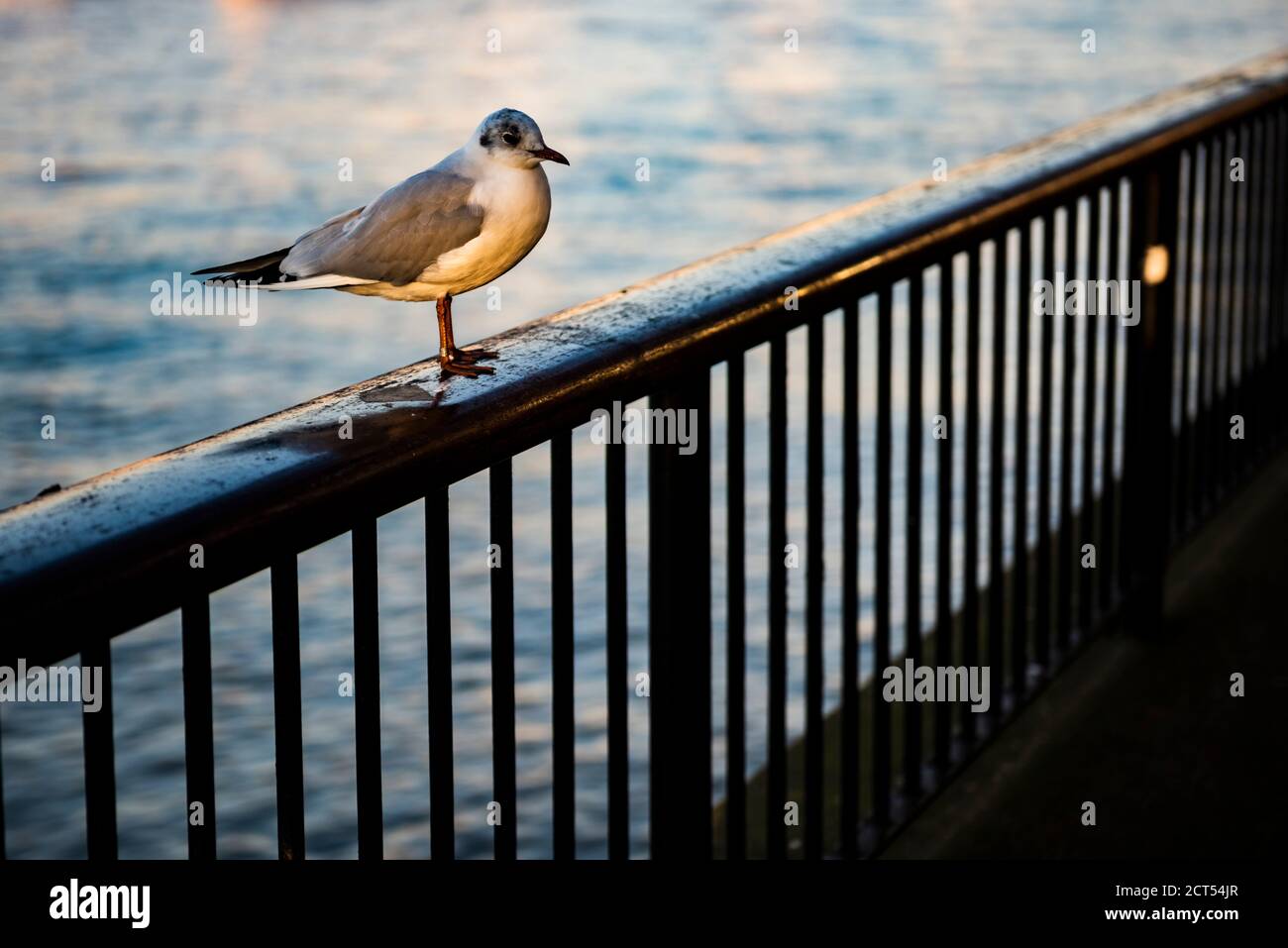 South Bank, London, England Stockfoto