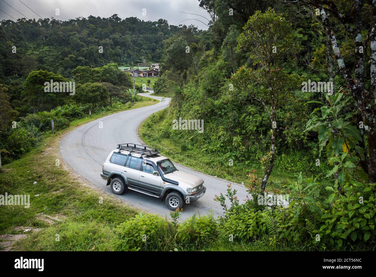 Fahrt im Ranomafana National Park, Madagaskar Central Highlands Stockfoto