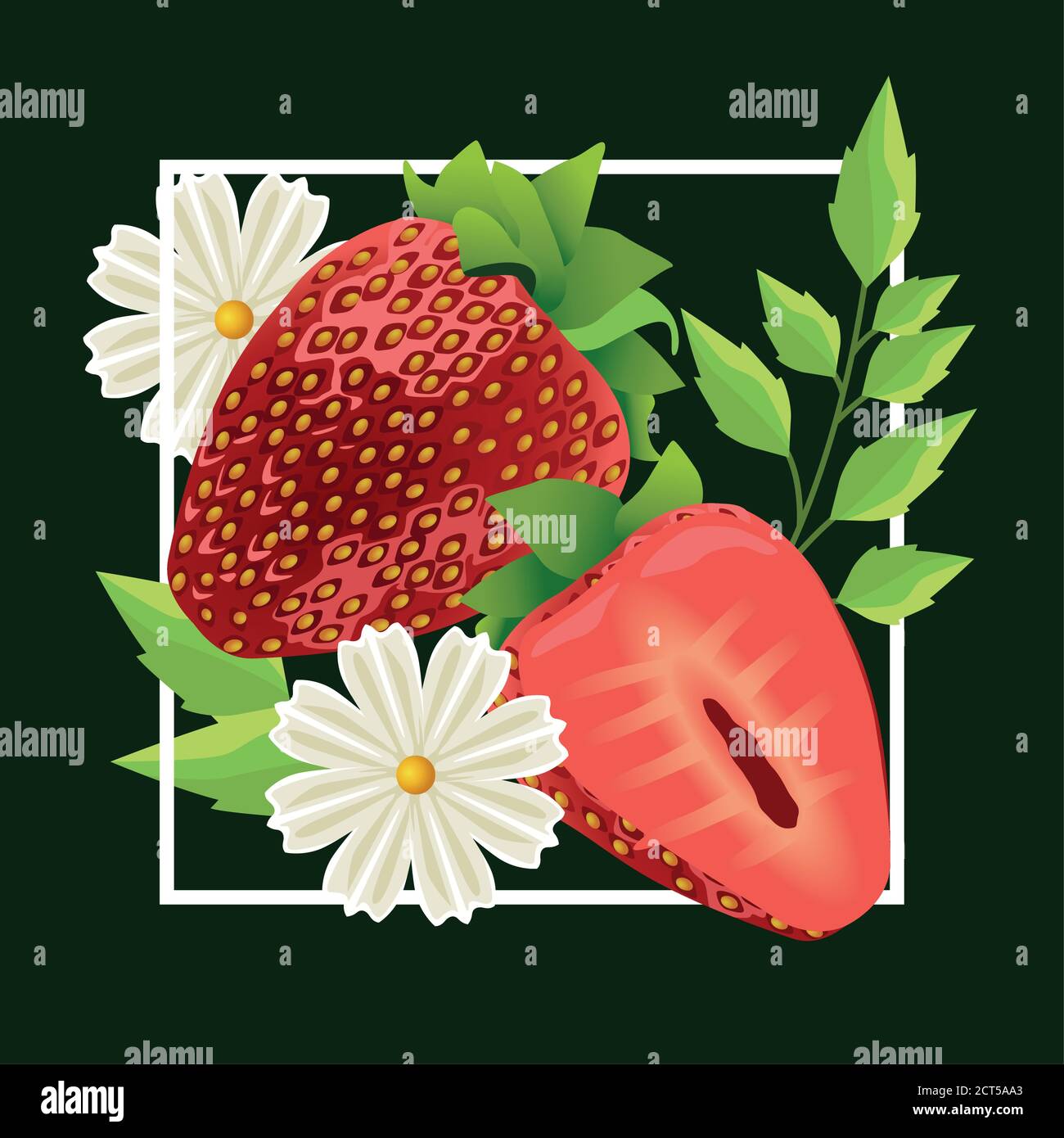 Blumenhintergrund mit Erdbeeren und Blumen Vektor Illustration Design Stock Vektor