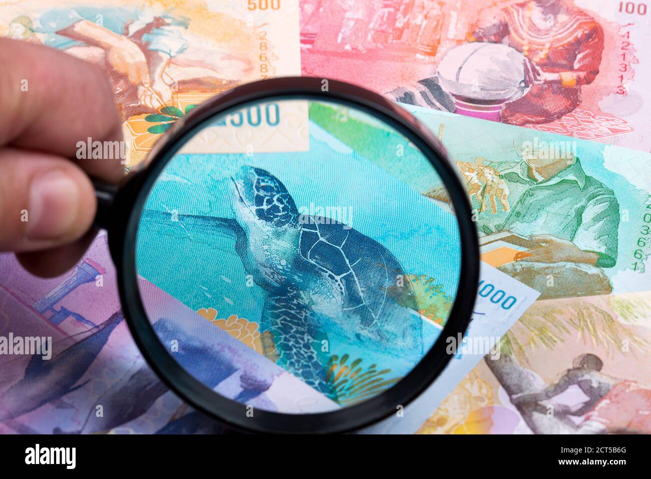 Maledivische Geld in einer Lupe ein geschäftlicher Hintergrund Stockfoto