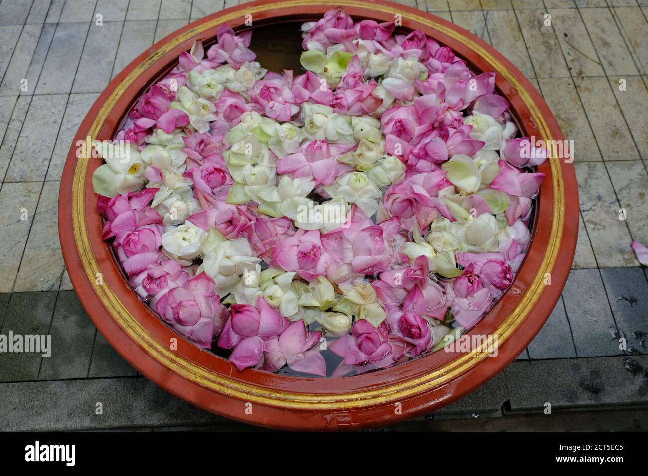 Sri Lanka Colombo - Blumenschale Mit Lotusblumen Gangaramaya Tempelbereich Stockfoto