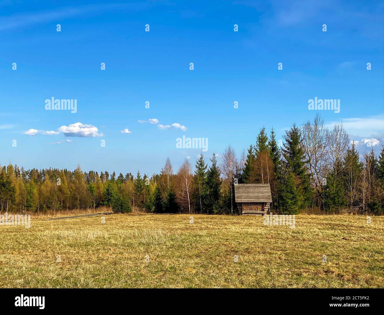 Holzfeeder auf einer Herbstwiese bunte Bäume im Hintergrund Stockfoto