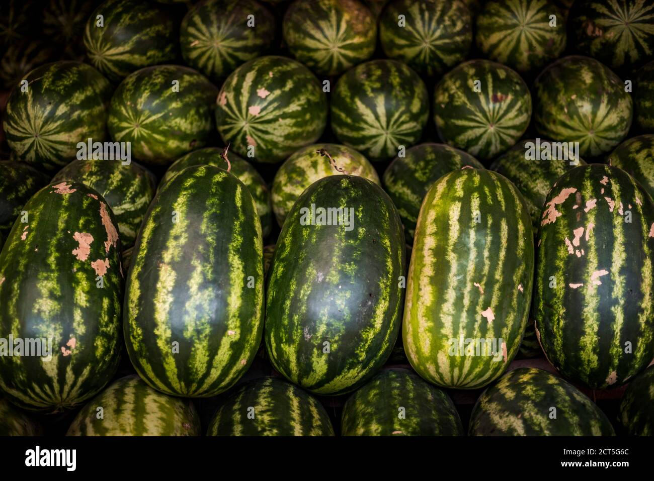 Wassermelonen zum Verkauf in einem Markt in Yangon (Rangun), Myanmar (Burma) Stockfoto