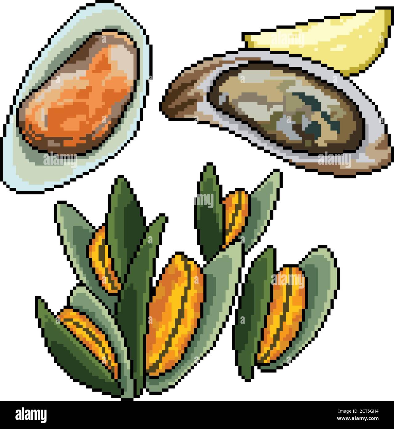 Pixel Art Set isolierte Muschel Snack Stock Vektor