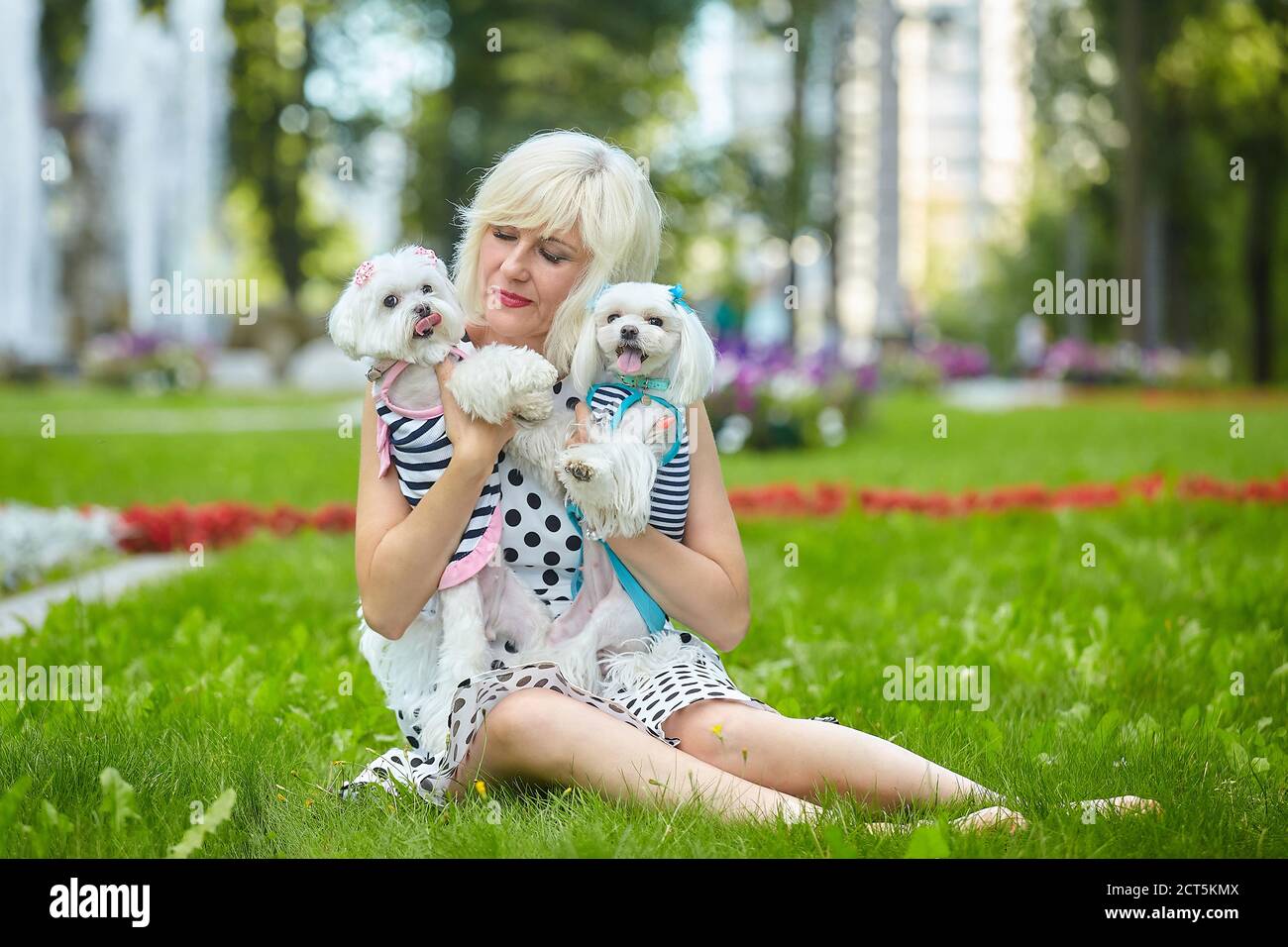 Fast scharfe Foto. Erwachsene Frau im Park mit zwei maltesischen Lapdogs. Stockfoto