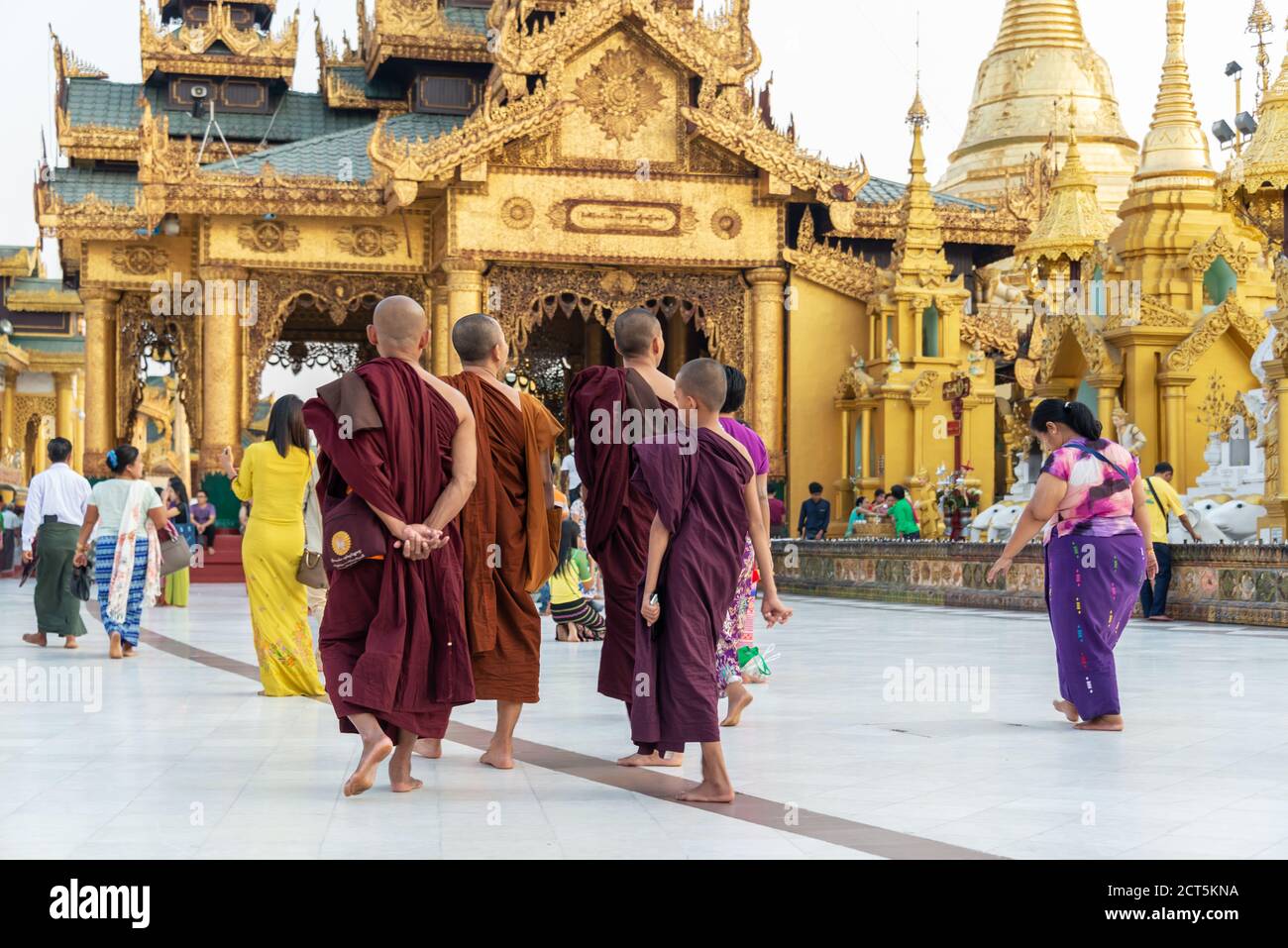 Mönche in der Shwedagon Pagode, in Yangon Burma Myanmar Stockfoto