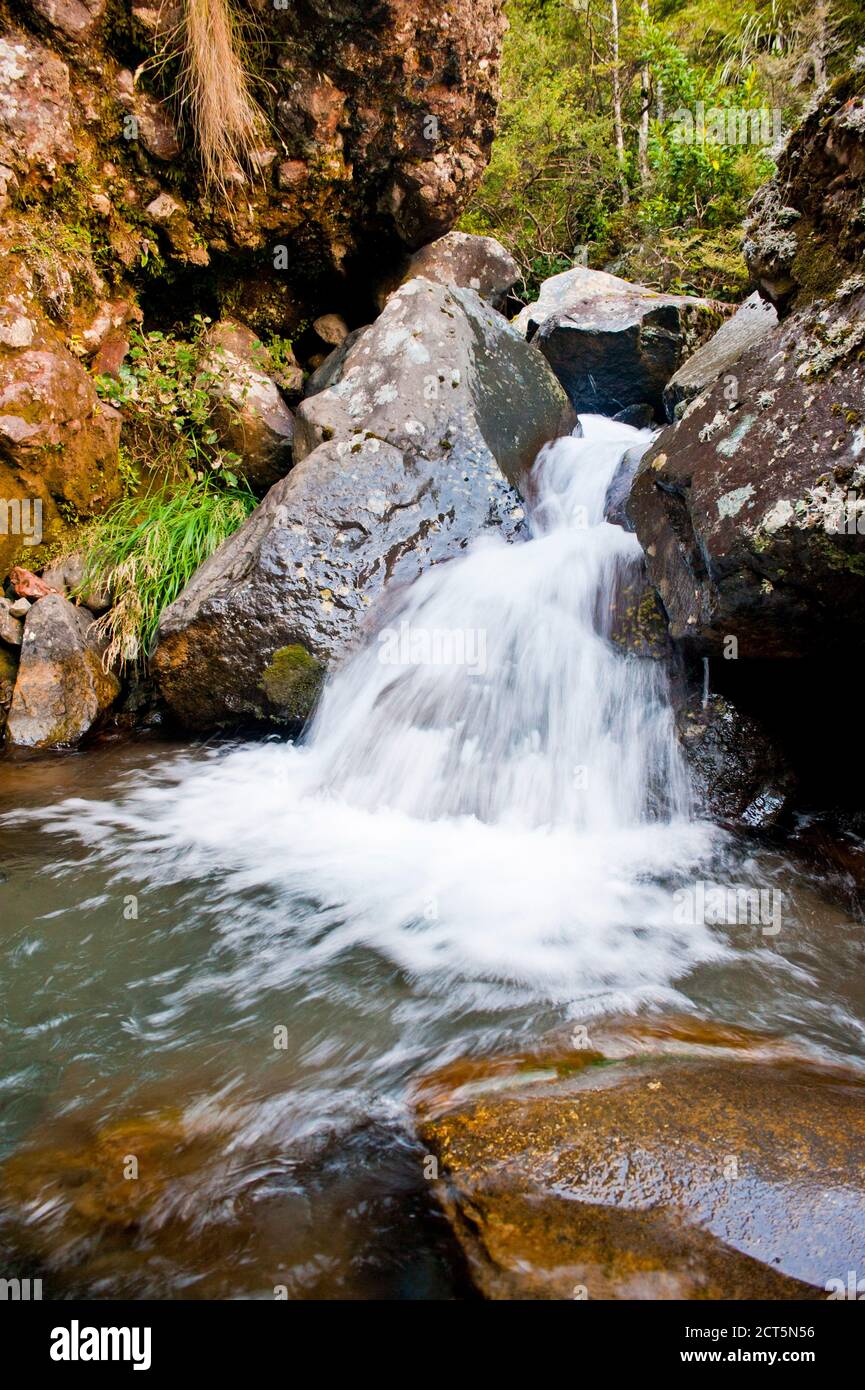 Wasserfall In Der Nähe Von Waitonga Falls, Tongariro National Park, Nordinsel, Neuseeland Stockfoto