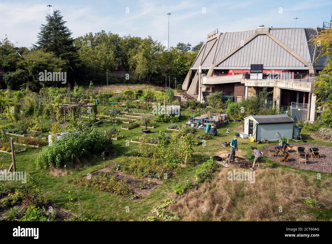 Gartenarbeit auf zurückgewonnenen Land, Hexagonnn, Reading Stockfoto
