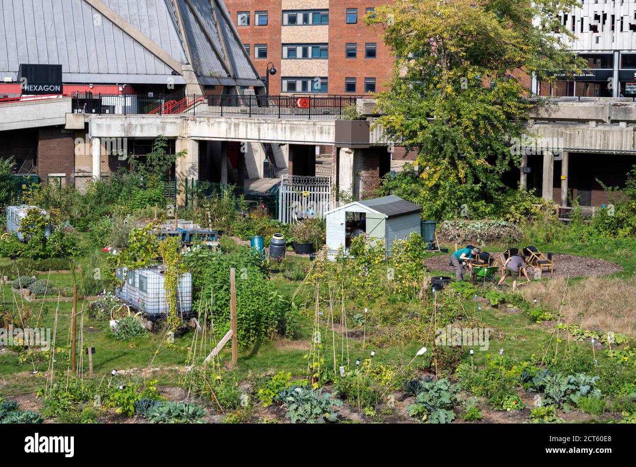 Gartenarbeit auf zurückgewonnenen Land, Hexagonnn, Reading Stockfoto