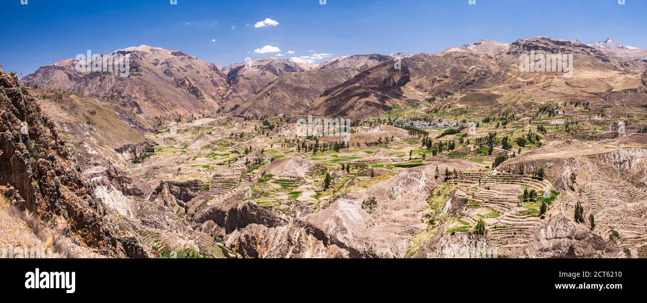 Colca Canyon Ackerland und Terrassen, Peru, Südamerika Stockfoto