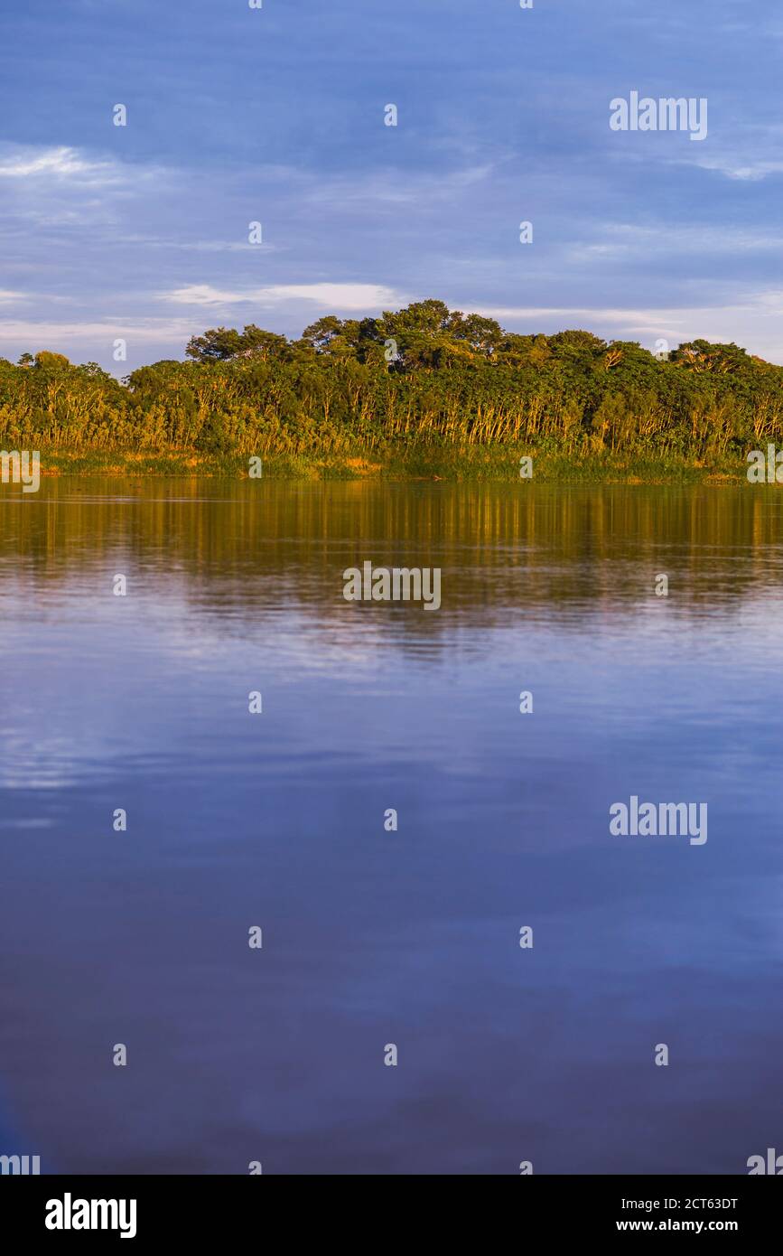 Sonnenaufgang über dem Fluss im Amazonas Dschungel von Peru, Tambopata National Reserve, Peru, Südamerika Stockfoto