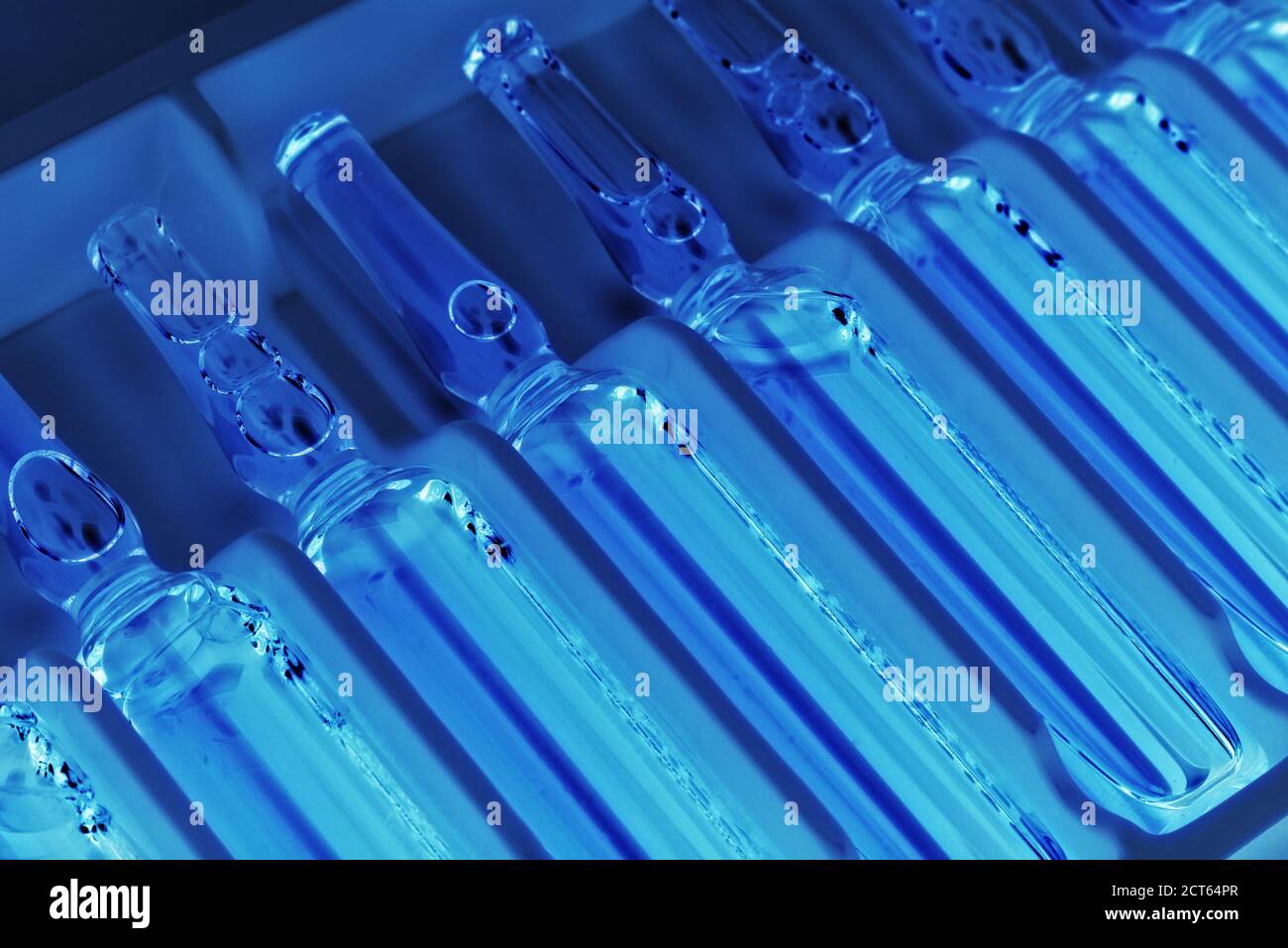 Nahaufnahme der Ampullen-Reihe in der Packung in ultraviolett Beleuchtung mit selektivem Fokus Stockfoto