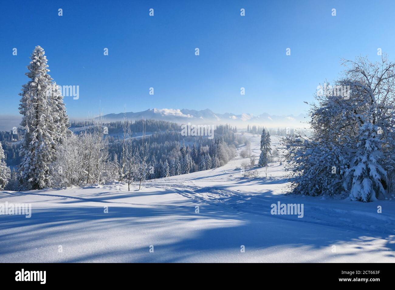 Winterlandschaft in den Bergen. Winterwunderland. Stockfoto