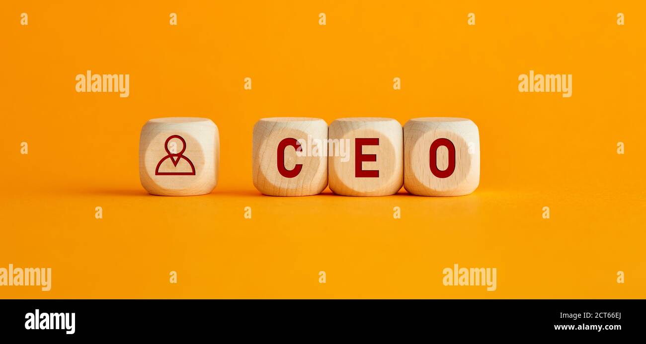 Das Wort CEO Chief Executive Officer auf Holzwürfeln auf gelbem Hintergrund. Chef-, Führungs-, Führungs- oder Top-Management-Position in einem Team oder Geschäft c Stockfoto