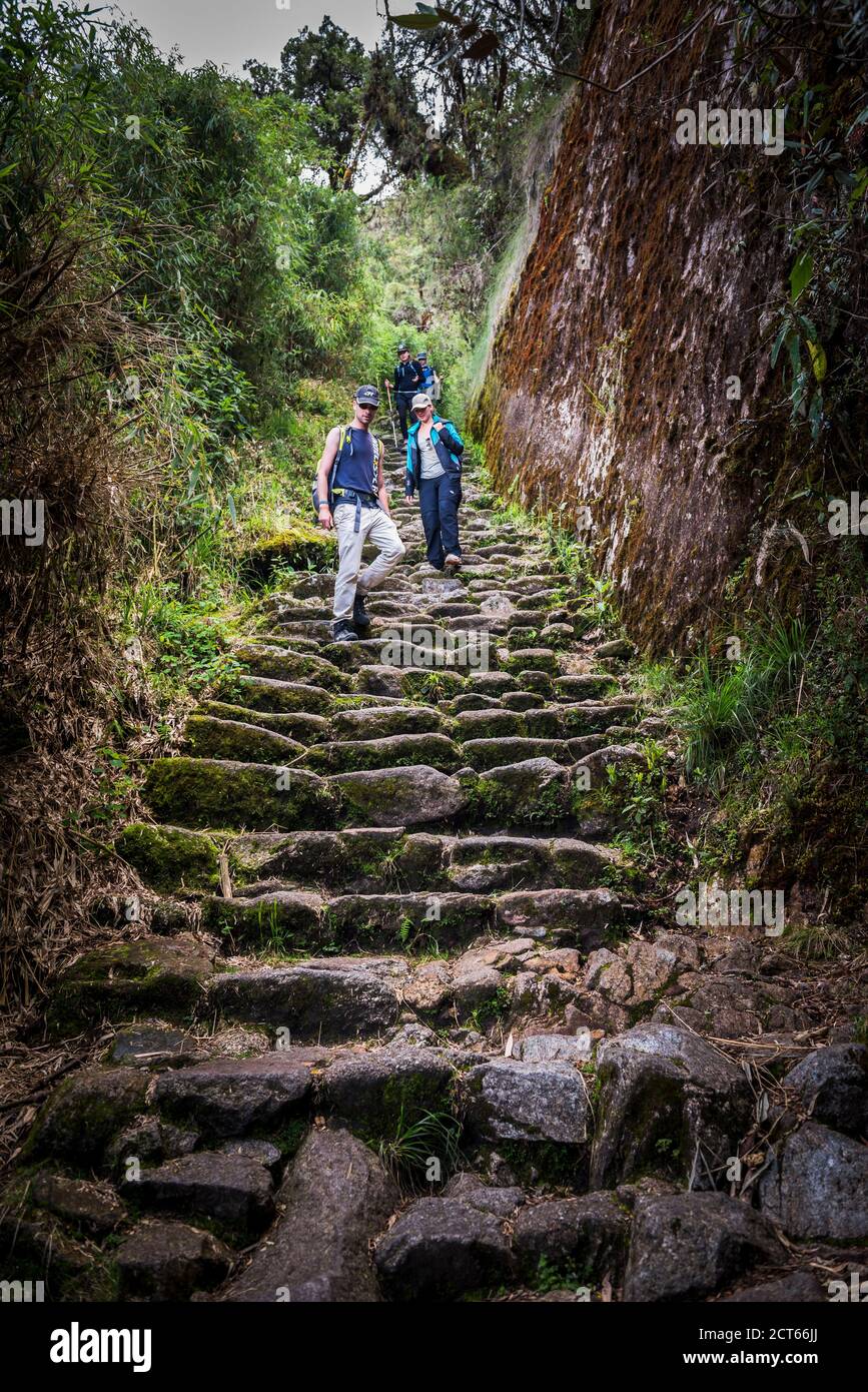 Inka Trail durch Nebelwald am 3. Tag der Wanderung, Cusco Region, Peru, Südamerika Stockfoto