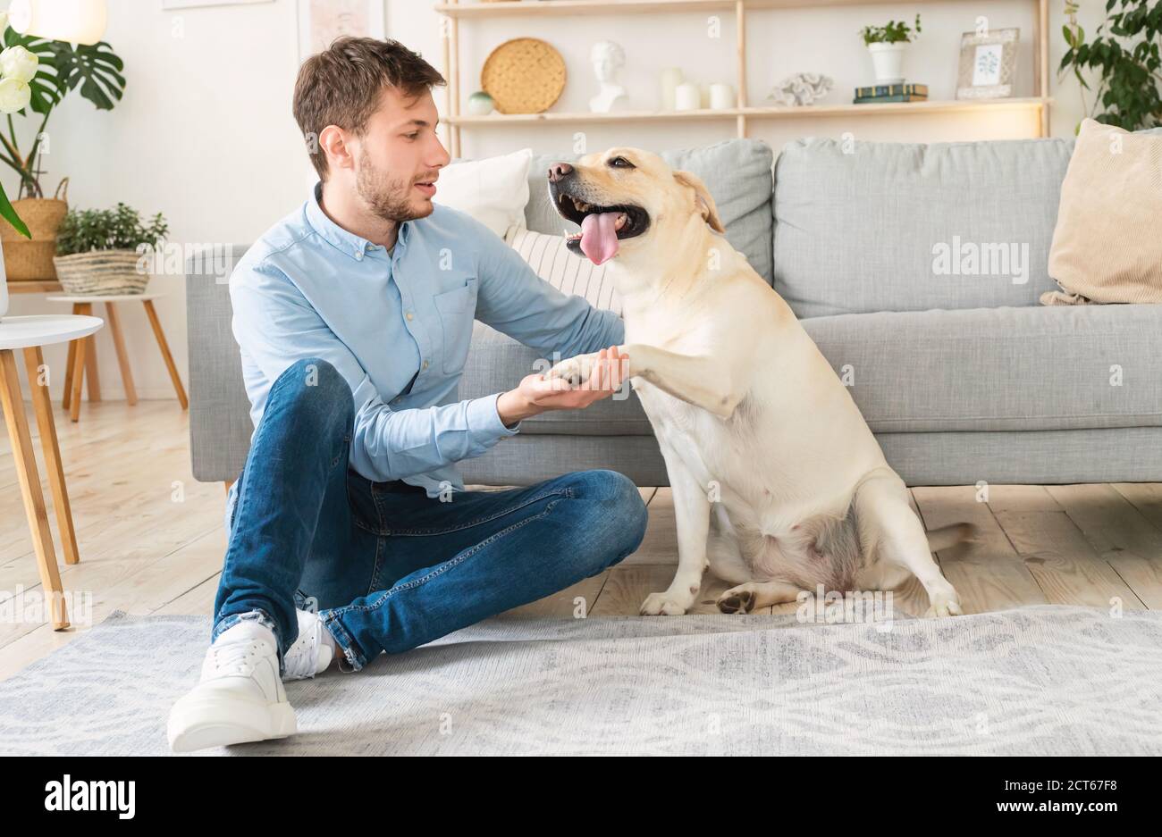 Junger Mann spielt mit Hund im Wohnzimmer Stockfoto