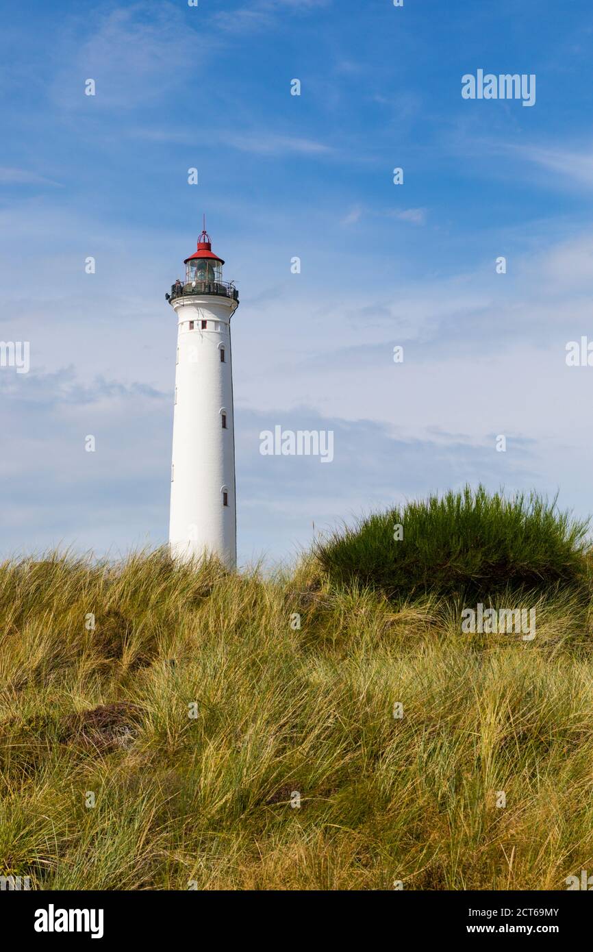 Leuchtturm in den Dünen von Lyngvig, Jütland, dänische Nordseeküste Stockfoto