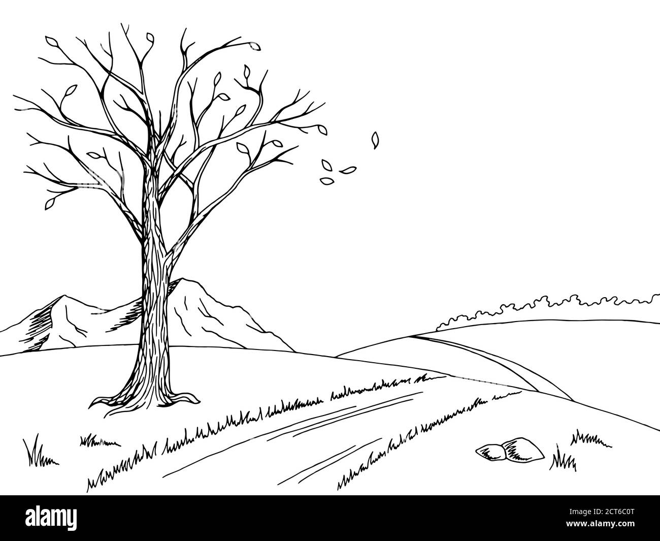 Alter Baum Herbst Grafik Kunst schwarz weiß Landschaft Skizze Illustration vektor Stock Vektor