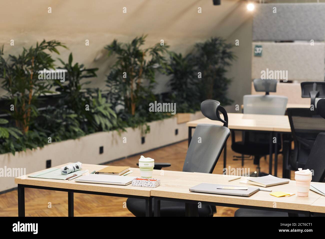 Hintergrundbild von modernen offenen Raum Büro mit Pflanzen dekoriert, konzentrieren sich auf den Arbeitsplatz mit Holztisch und ergonomischer Stuhl im Vordergrund, kopieren Raum Stockfoto