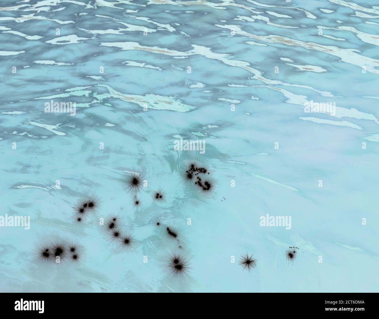 Invertiertes Bild des ruhigen Wassers eines Sees, Wellenmuster und Reflexionen Stockfoto