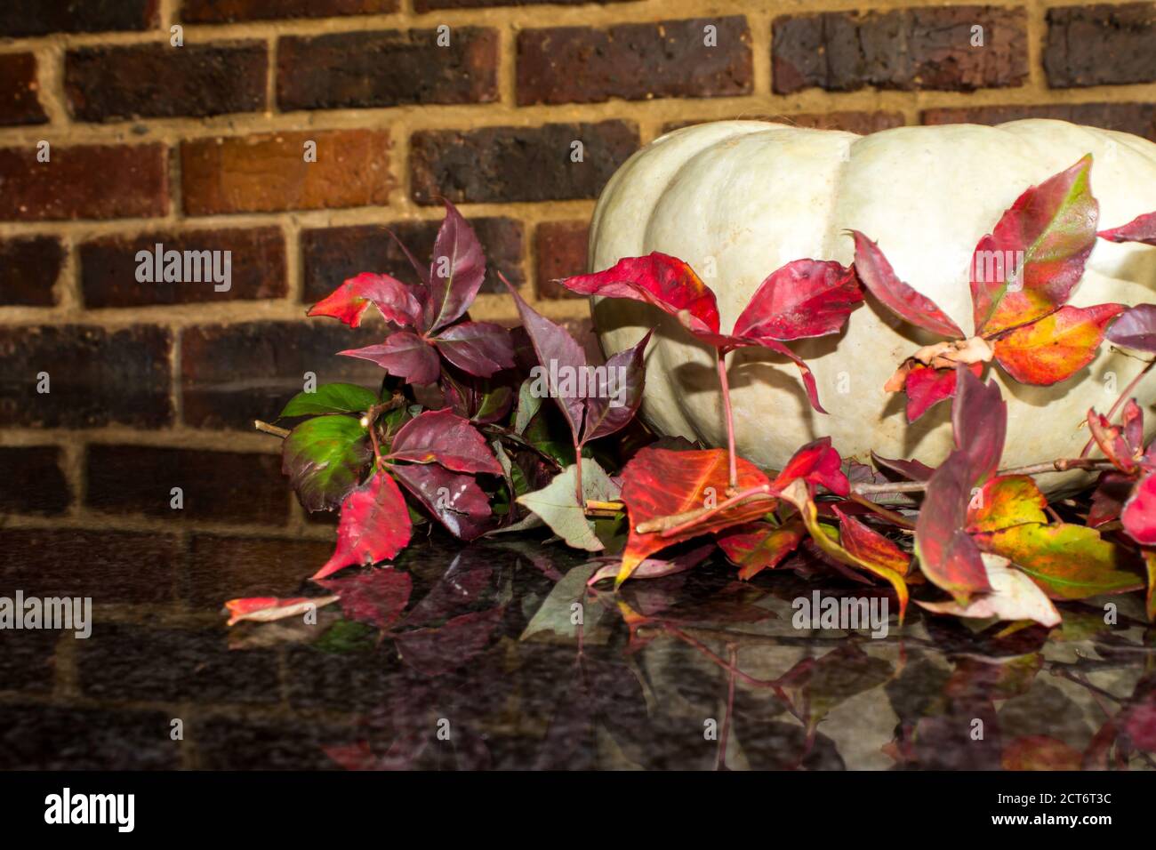 Ein Kronenkürbis, umgeben von den bunten Herbstblättern Ein Virginia Kriechgang mit Backstein Hintergrund Stockfoto