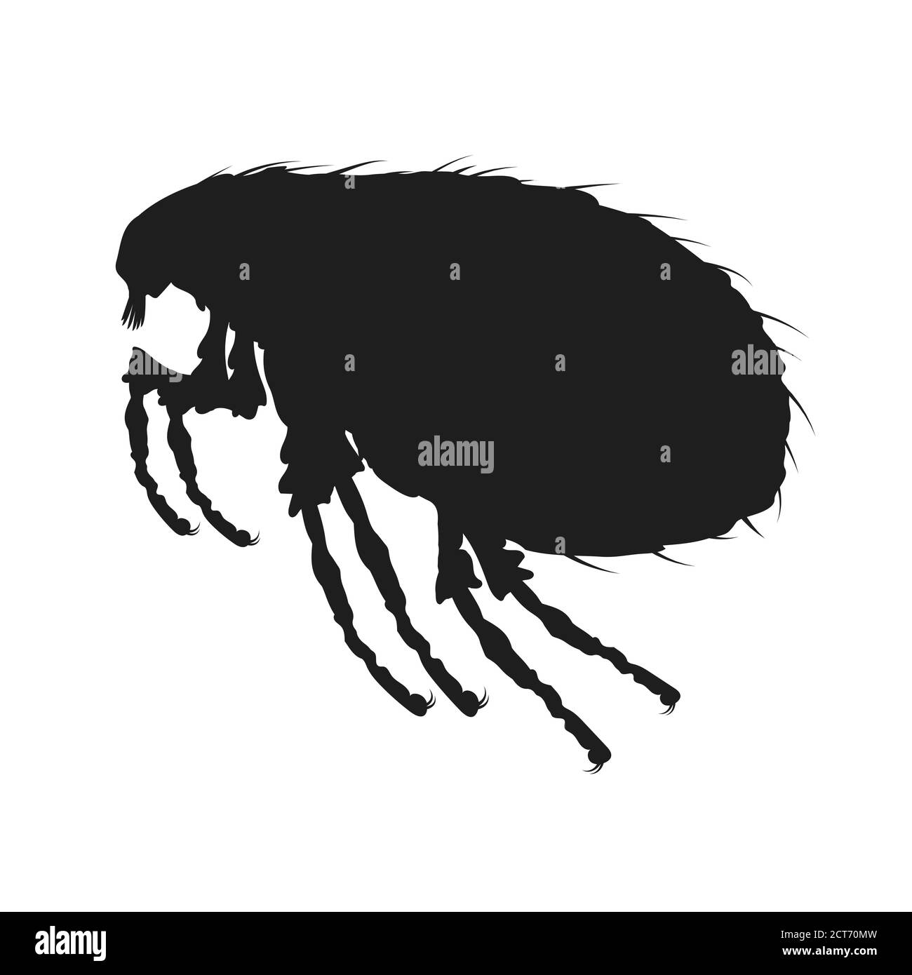 Laus-Symbol. Insektensymbol isoliert. Schwarze Silhouette von Laus. Vektorgrafik. Laus-Ikone in flachem Design Stock Vektor