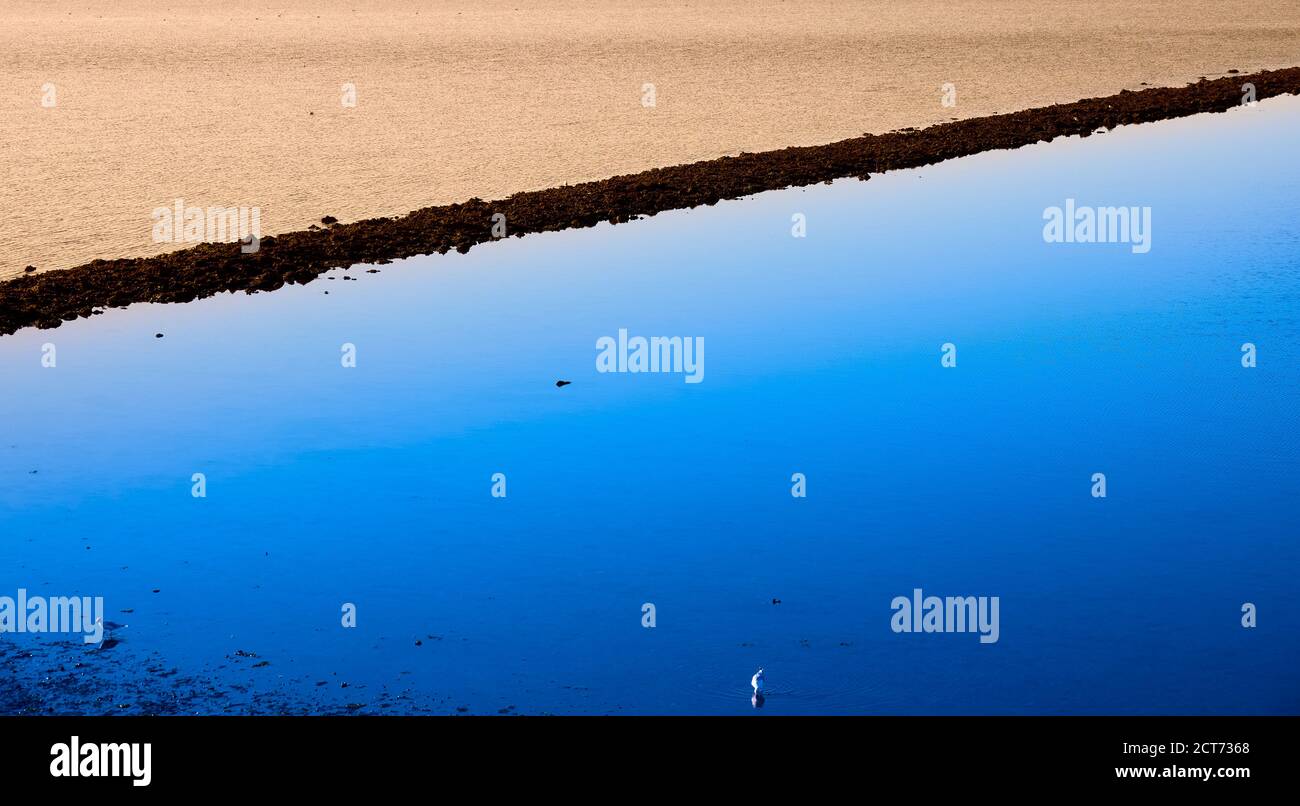 Abstraktes Foto eines Wellenbrechers aus Holzpfählen im Wattenmeer auf Sylt Stockfoto