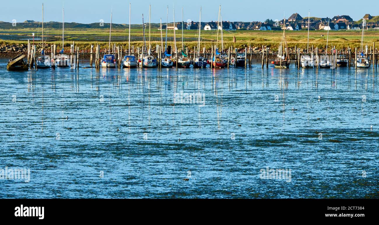 Blick bei Ebbe auf den Hafen Rantum im Wattenmeer der Insel Sylt, Deutschland Stockfoto