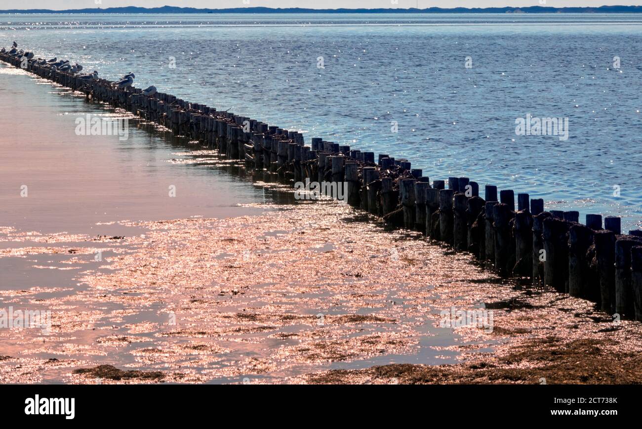 Wellenbrecher aus Holzpfählen im Wattenmeer in der glitzernden Sonne Sylts Stockfoto