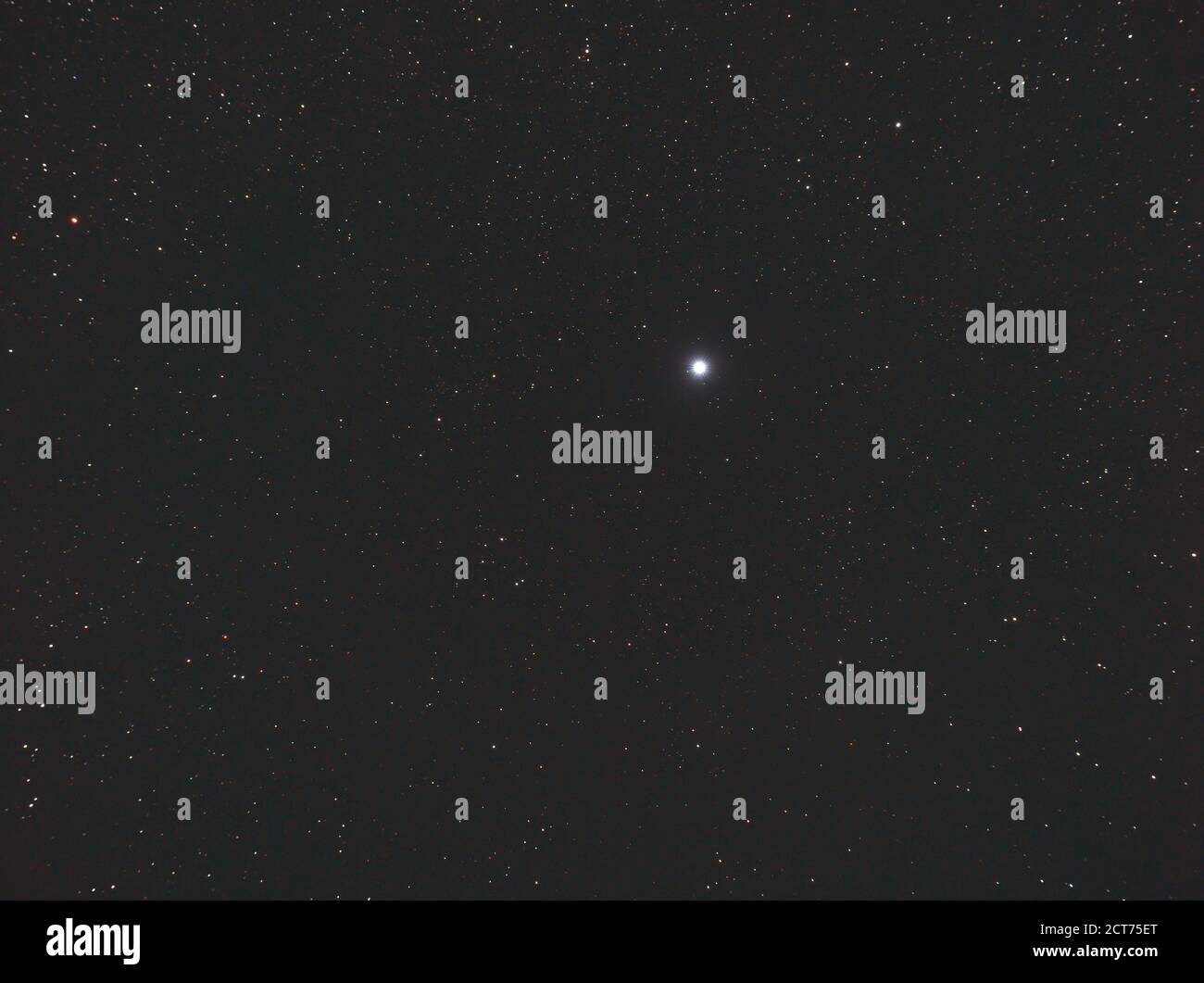 Der Stern Deneb im Sternbild Cygnus, 2,700 Lichtjahre vom Planeten Erde und 19. Hellster Stern am Nachthimmel. Fotografiert durch Teleskop aus London UK mit Nikon Z7, 15 Minuten Belichtung. Stockfoto