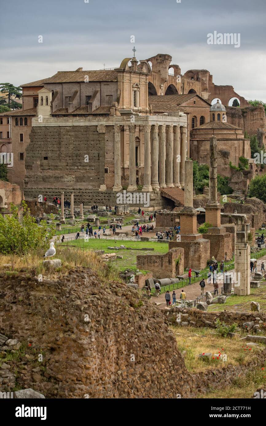 Rom, Italien - 15. Mai 2016: Touristen besuchen die antiken Ruinen des Forum Romanum im historischen Zentrum von Rom Stockfoto