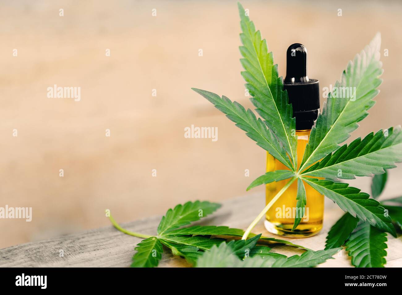 Cannabis CBD Öl Extrakte in Gläsern Kräuter und Blätter. Konzept medizinisches Marihuana Stockfoto