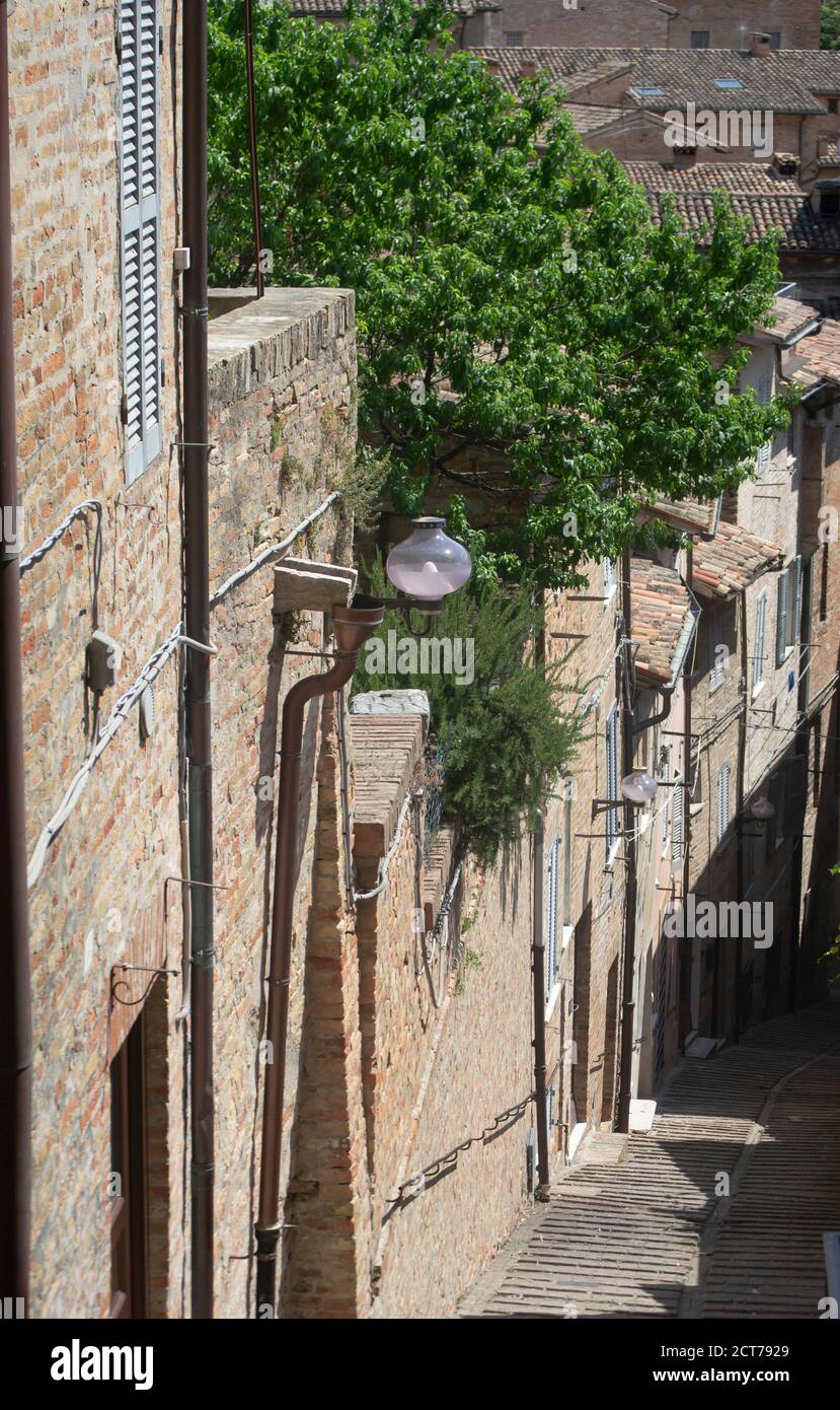 Blick auf eine typische schmale Straße von Urbino Stadt Stockfoto