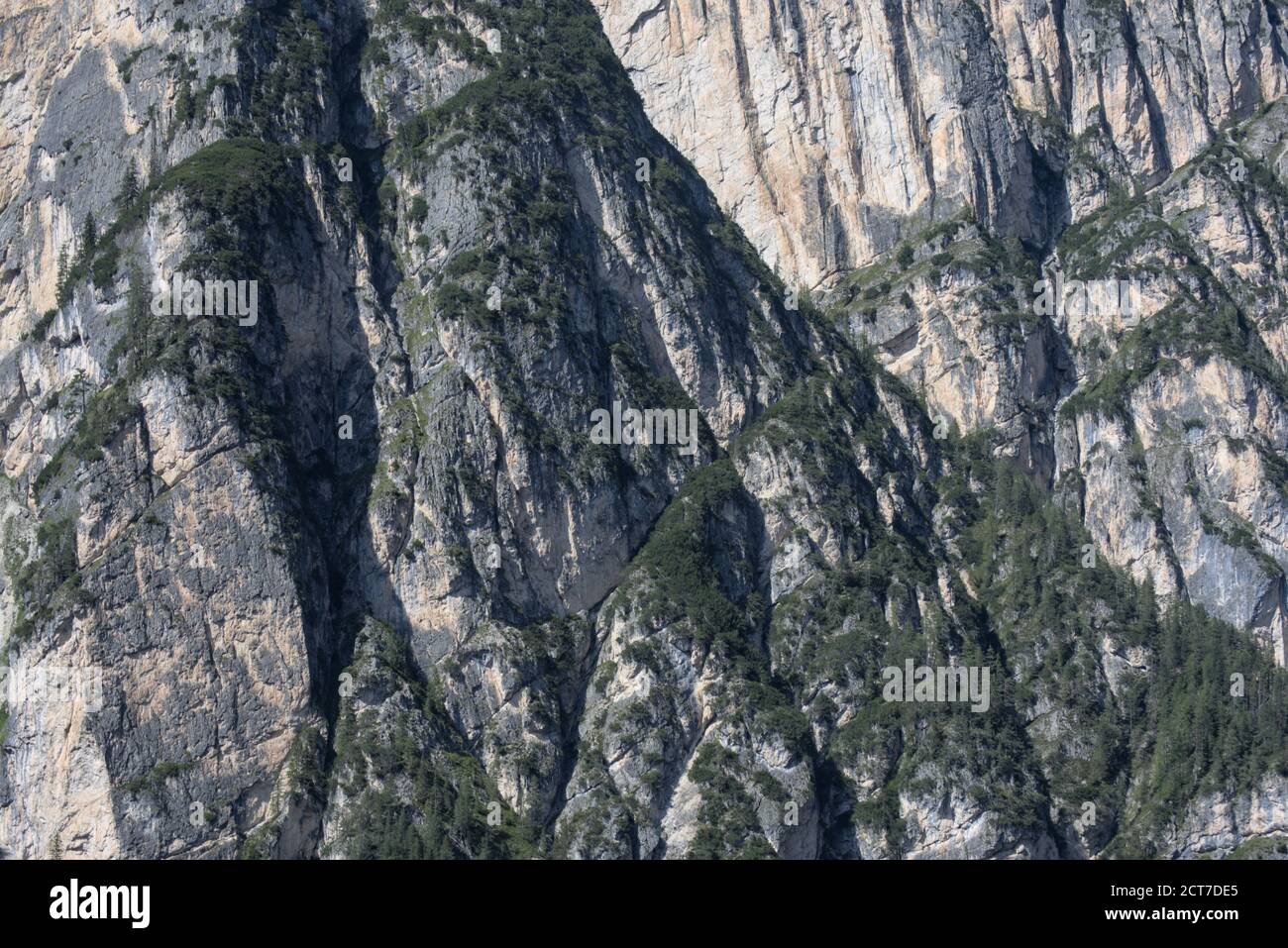 Nahaufnahmen auf einem Berg in den Sextener Dolomiten, Südtirol, Italien Stockfoto