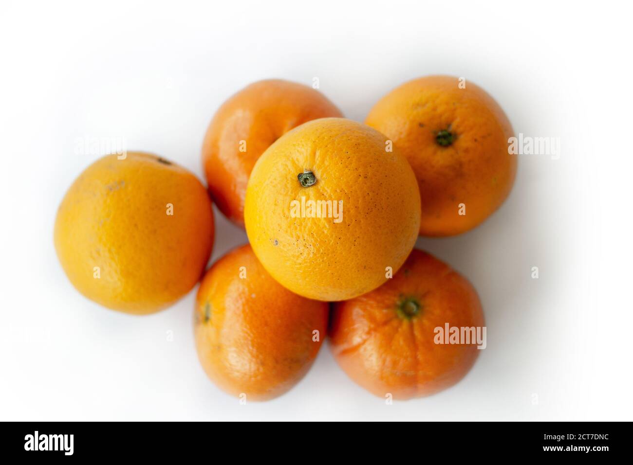 Orangen und Mandarinen auf weißem Hintergrund Stockfoto