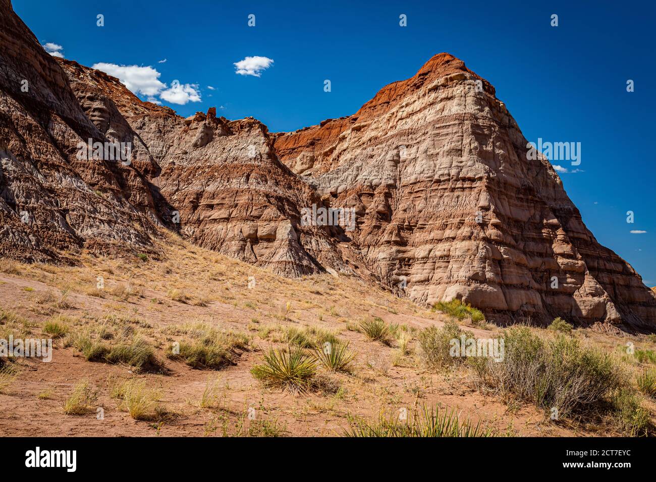 Der Toadhocker Trail führt zu einem Gebiet von Hoodoos und Ausgewogene Felsformationen durch Jahrhunderte der Erosion und ist geschaffen Teil der Grand Staircase-Escala Stockfoto