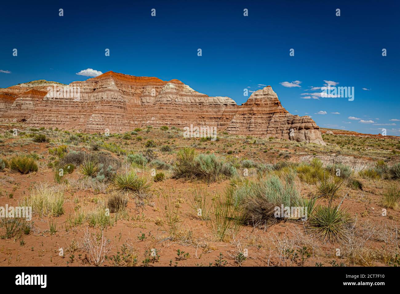 Der Toadhocker Trail führt zu einem Gebiet von Hoodoos und Ausgewogene Felsformationen durch Jahrhunderte der Erosion und ist geschaffen Teil der Grand Staircase-Escala Stockfoto