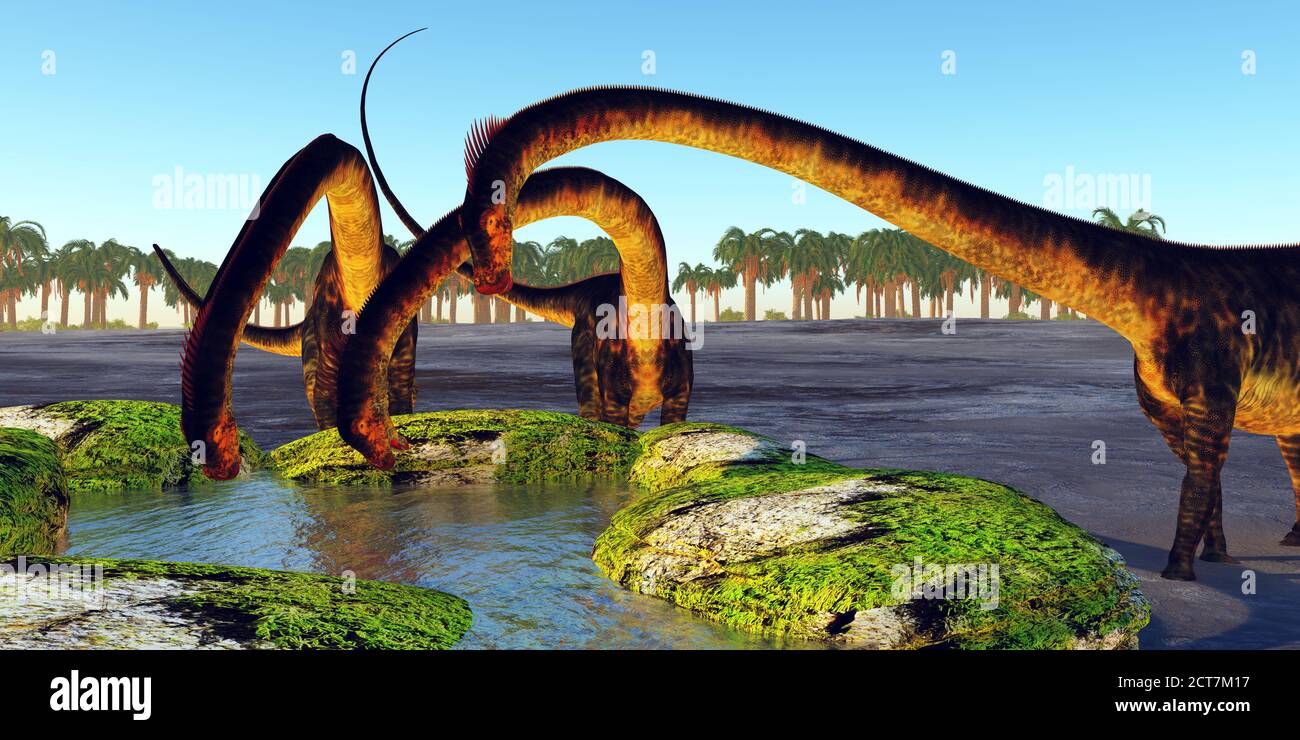 Dinosaurier Trinkquelle - EINE Herde Dinosaurier Barosaurus Dinosaurier finden eine üppige Wasserquelle, um ihren Durst während der Jurassic Periode zu löschen. Stockfoto