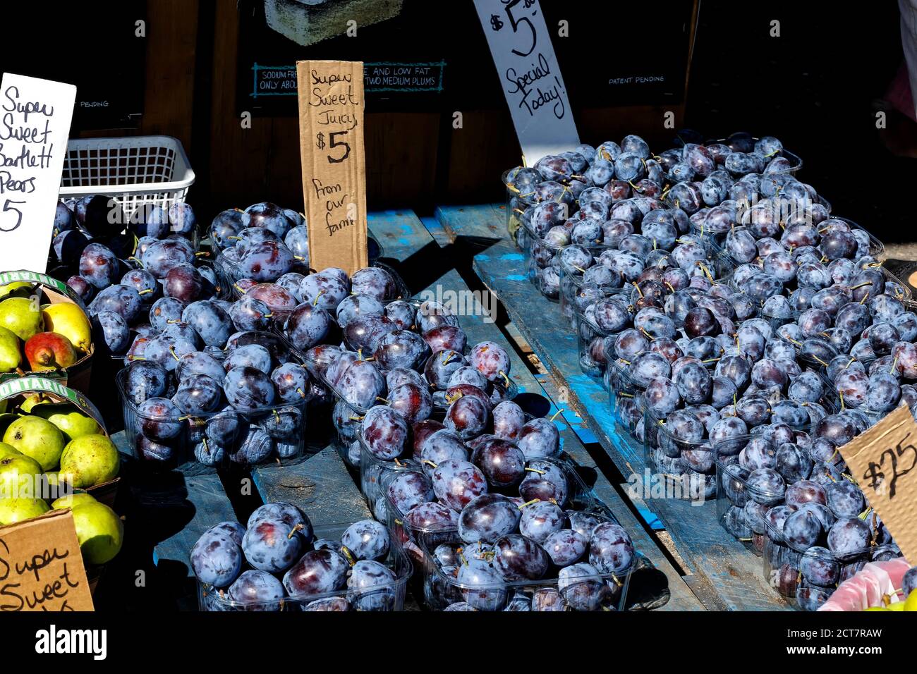Marktstand, der frische Pflaumen auf dem Bauernmarkt im Freien verkauft. Ontario, Kanada. Stockfoto